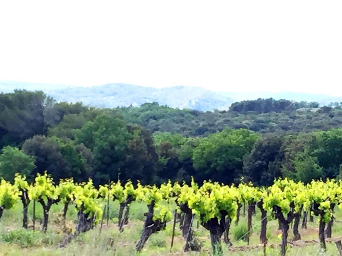 Le Clos Soleilhan Saint-Gervais  Bagian luar foto